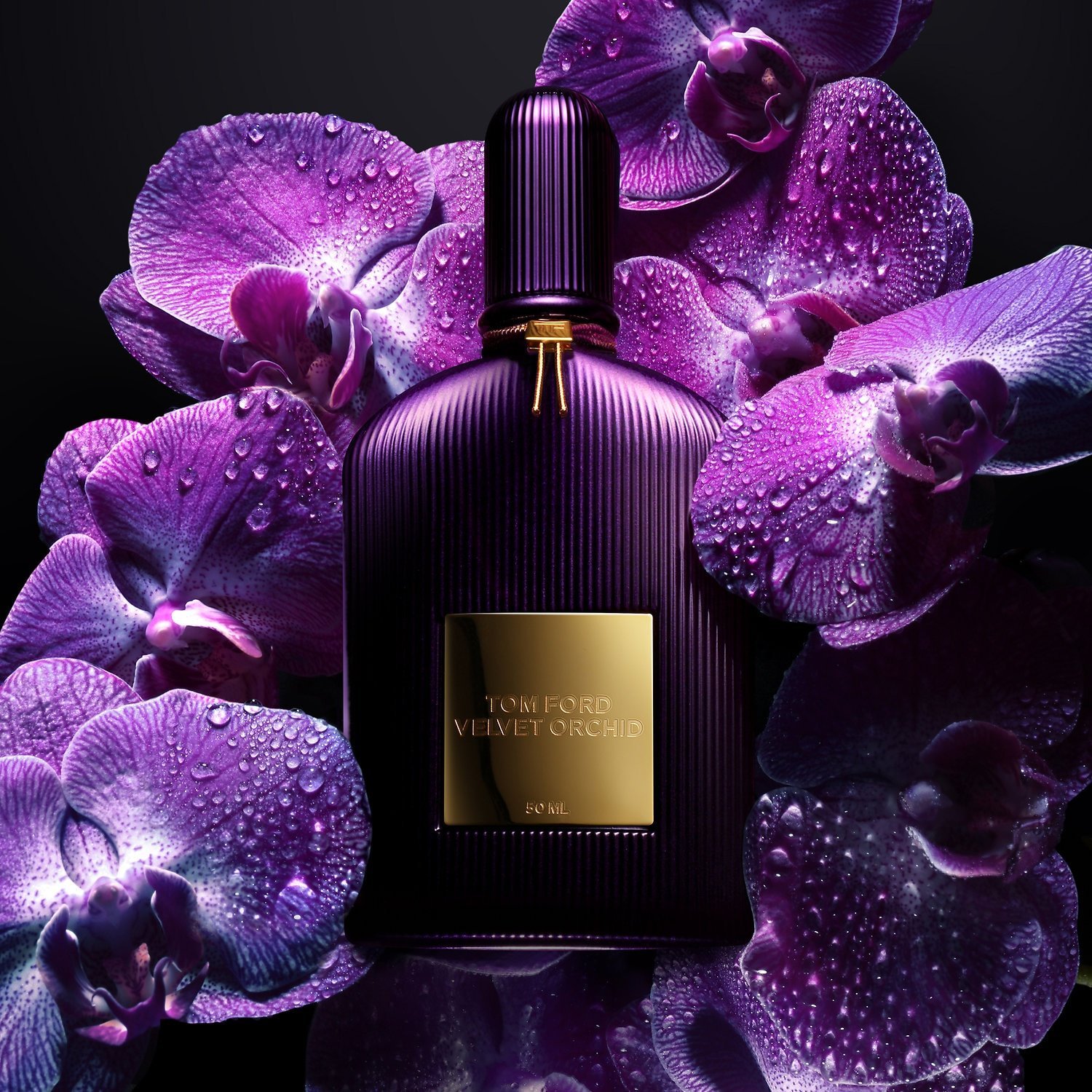TOM FORD-Eau de Parfum-VELVET ORCHID-100ml - Image 2